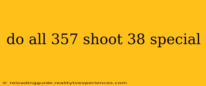 do all 357 shoot 38 special