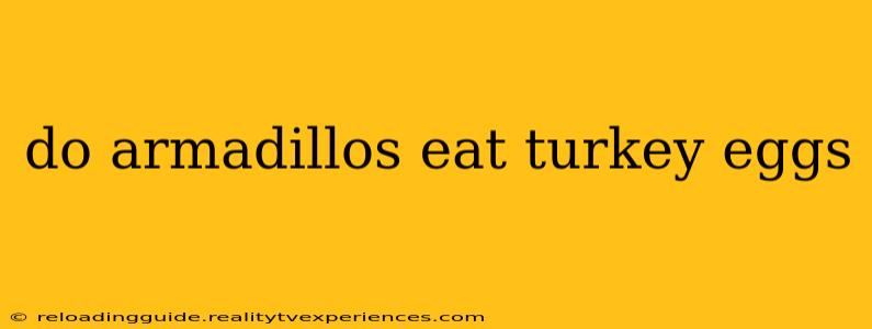 do armadillos eat turkey eggs