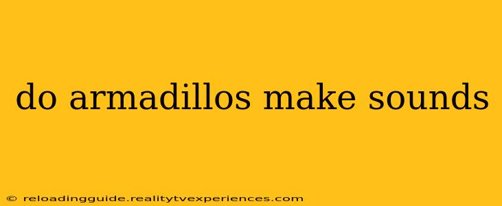 do armadillos make sounds