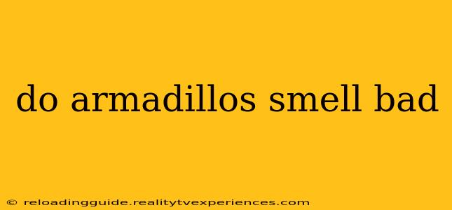 do armadillos smell bad