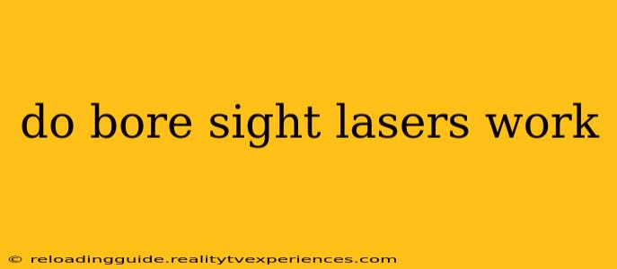 do bore sight lasers work