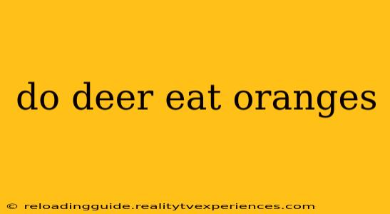 do deer eat oranges