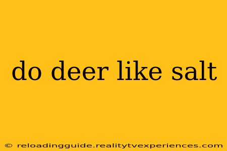 do deer like salt