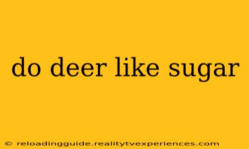 do deer like sugar