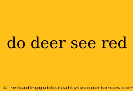 do deer see red