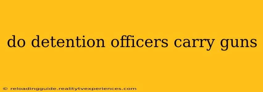 do detention officers carry guns