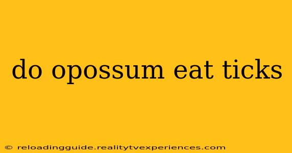 do opossum eat ticks