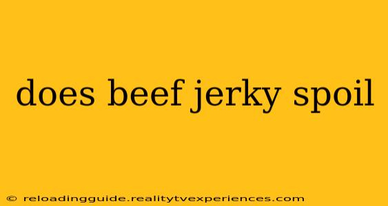 does beef jerky spoil