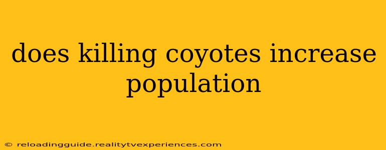 does killing coyotes increase population