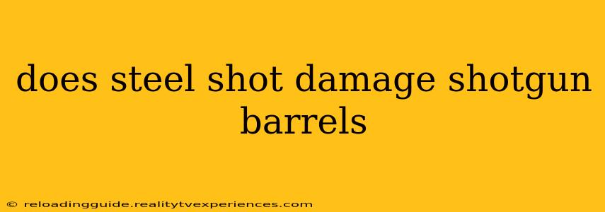 does steel shot damage shotgun barrels