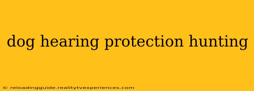 dog hearing protection hunting