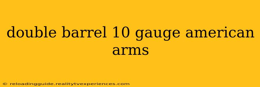 double barrel 10 gauge american arms