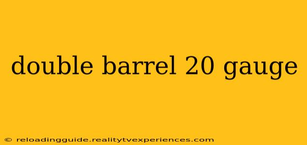 double barrel 20 gauge