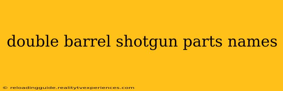 double barrel shotgun parts names