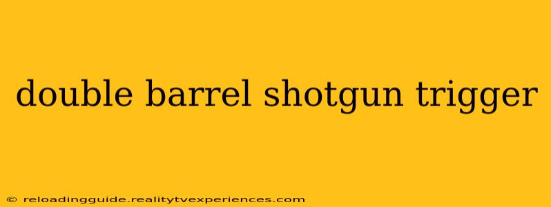 double barrel shotgun trigger