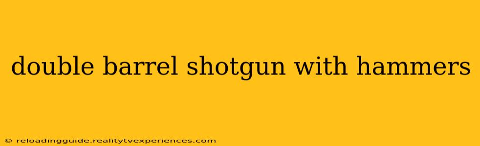 double barrel shotgun with hammers