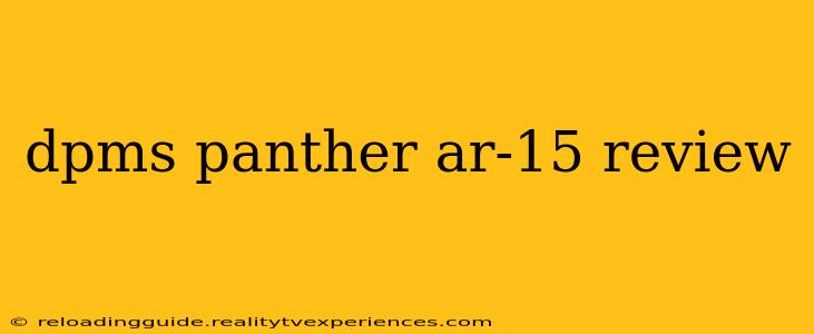 dpms panther ar-15 review