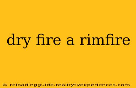 dry fire a rimfire