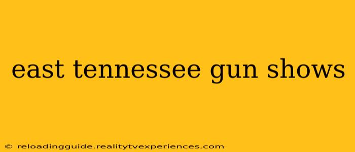 east tennessee gun shows