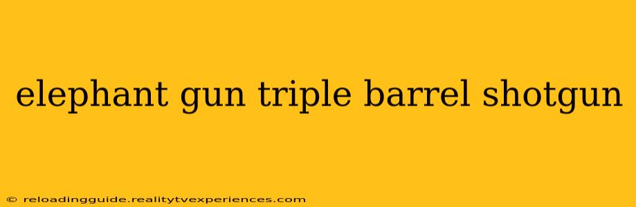 elephant gun triple barrel shotgun