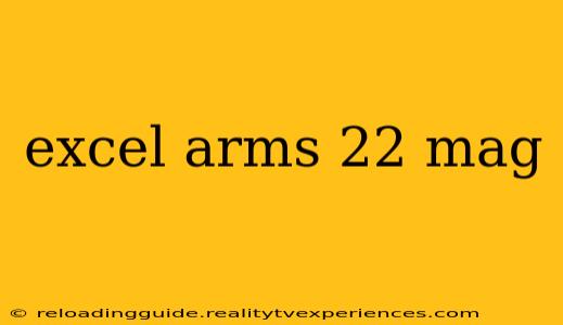 excel arms 22 mag