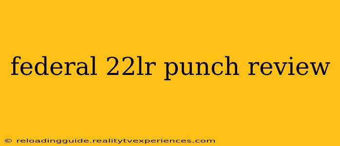 federal 22lr punch review