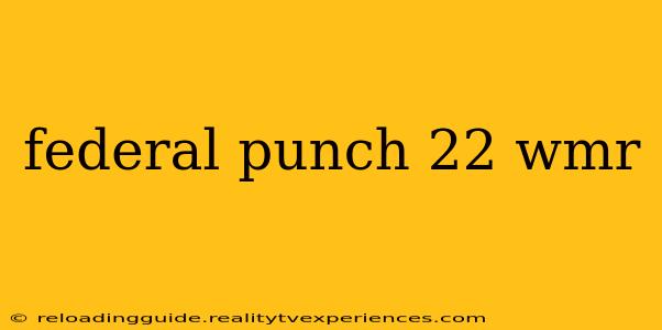 federal punch 22 wmr