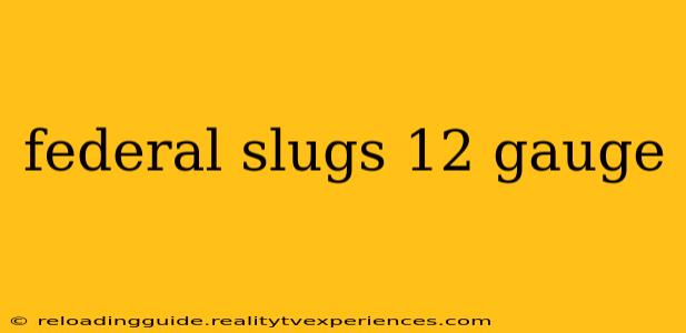 federal slugs 12 gauge