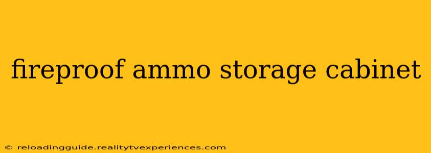 fireproof ammo storage cabinet