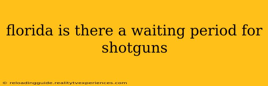 florida is there a waiting period for shotguns