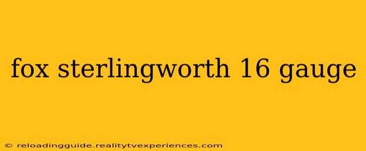 fox sterlingworth 16 gauge