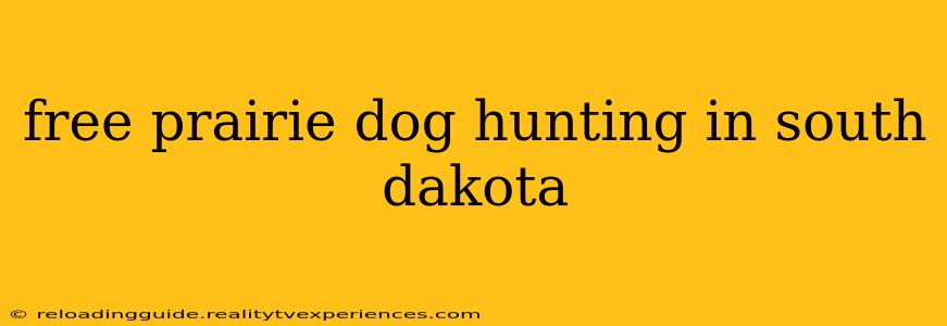 free prairie dog hunting in south dakota