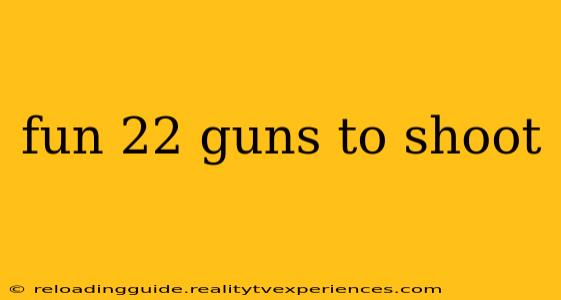 fun 22 guns to shoot