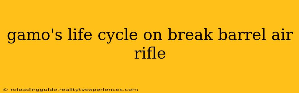 gamo's life cycle on break barrel air rifle