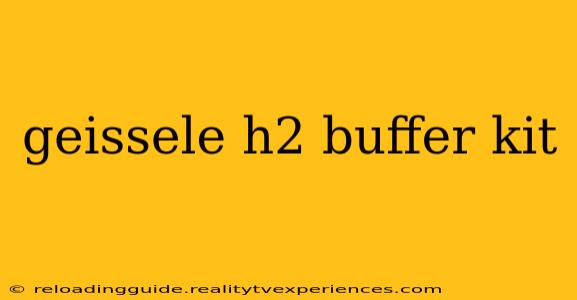 geissele h2 buffer kit