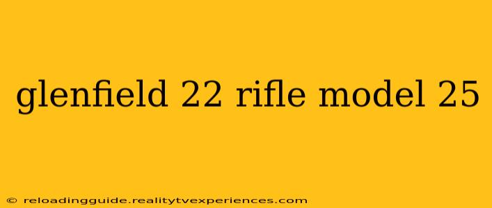 glenfield 22 rifle model 25