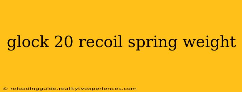 glock 20 recoil spring weight