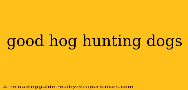 good hog hunting dogs