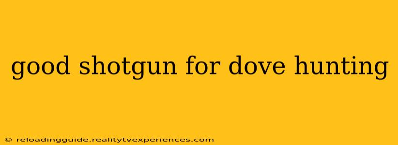 good shotgun for dove hunting