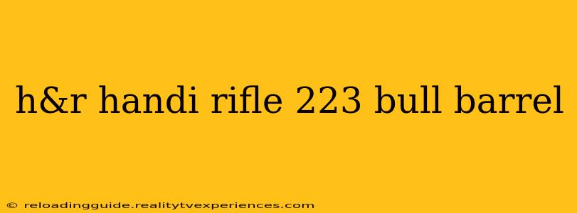 h&r handi rifle 223 bull barrel