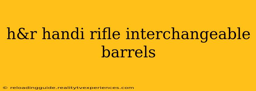 h&r handi rifle interchangeable barrels