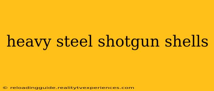 heavy steel shotgun shells