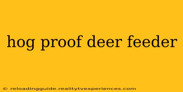 hog proof deer feeder