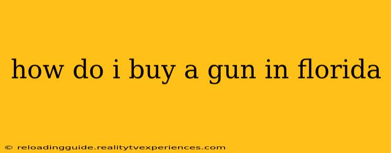 how do i buy a gun in florida