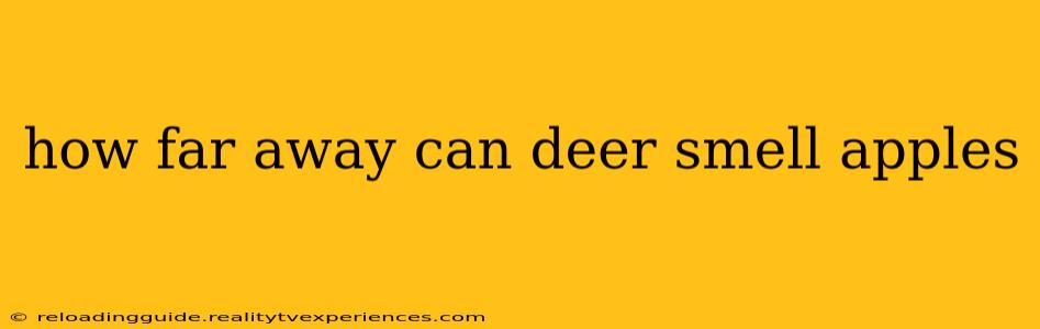 how far away can deer smell apples