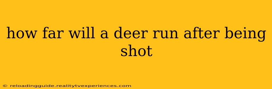 how far will a deer run after being shot