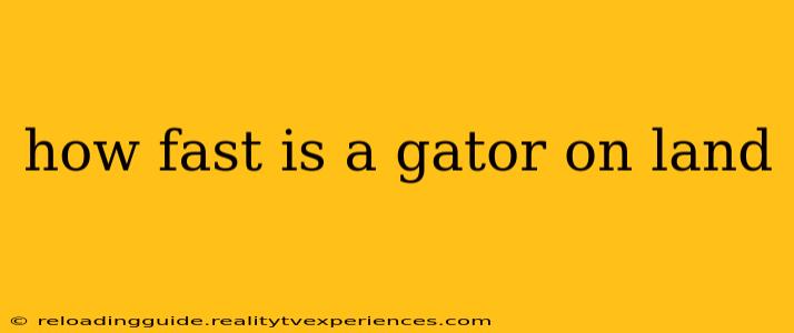 how fast is a gator on land