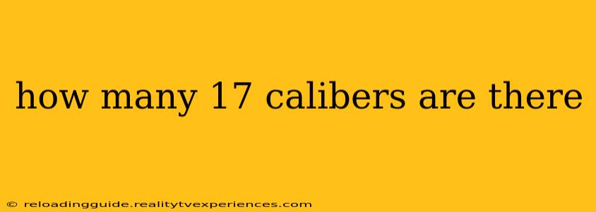 how many 17 calibers are there