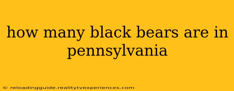 how many black bears are in pennsylvania