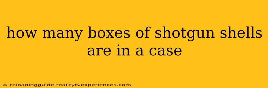 how many boxes of shotgun shells are in a case